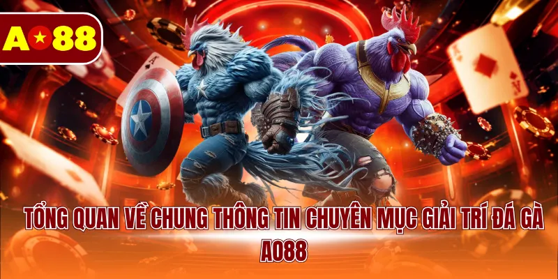 Tổng quan về chung thông tin chuyên mục giải trí đá gà AO88